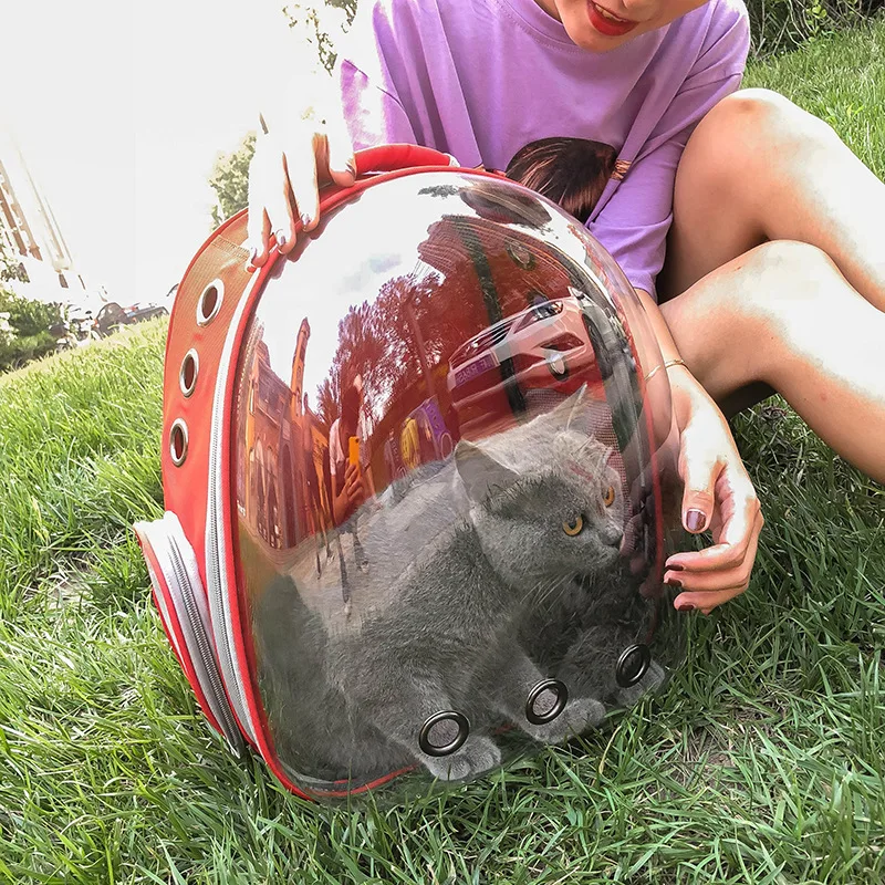 Bolsa de transporte transpirable para mascotas, mochila transparente para viajes al aire libre, bolsa de transporte para cachorros, gatos y conejos - imagen 4