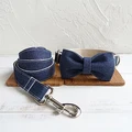 Bow Tie Collar Leash