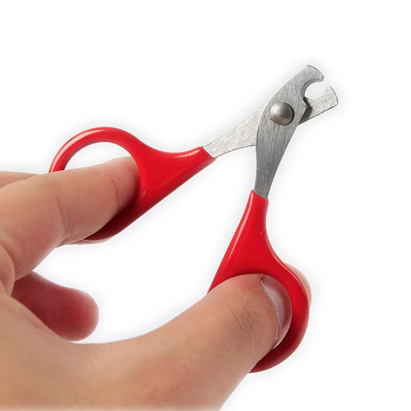 Herramientas para el cuidado de las garras de Gato, tijeras para uñas, suministros para mascotas, accesorios, Herramientas de limpieza para gatos, tijeras para uñas, productos para mascotas - imagen 2