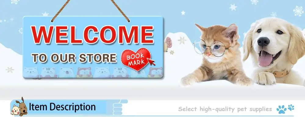 Collar Perrograbado Personalizado - uso en perro