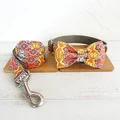 Bow Tie Collar Leash