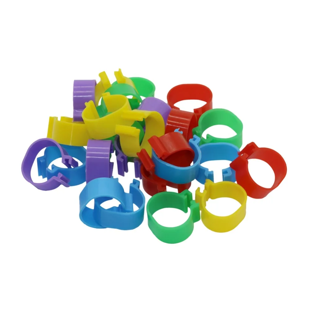 Anillo de plástico para pata de pollo, etiqueta Digital con hebilla, equipo de granja de 1000 cm, 1,6 piezas ID, 5 colores - imagen 4