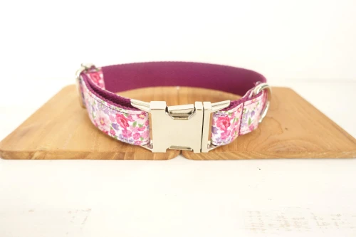 Dog Collar
