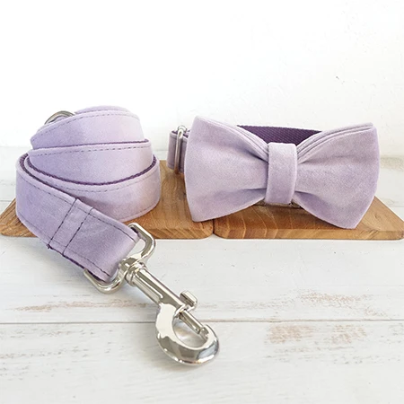 Bow Tie Collar Leash