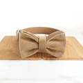 Dog Collar Bow Tie