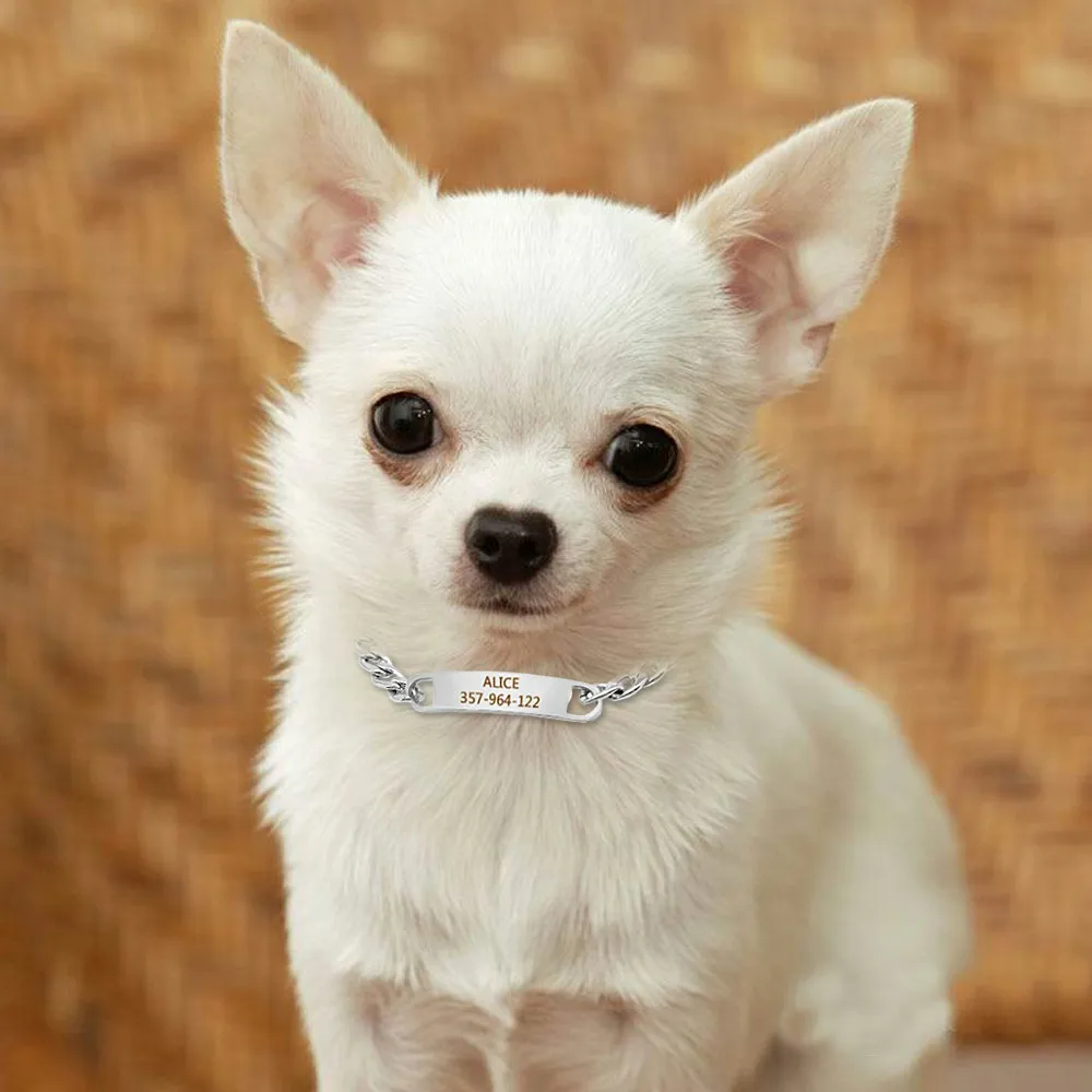 Collar de cadena personalizado para perros y gatos, collares grabados personalizados para mascotas, Collar para perros pequeños y gatos, placa con nombre, Chihuahua, Yorkshire - imagen 5