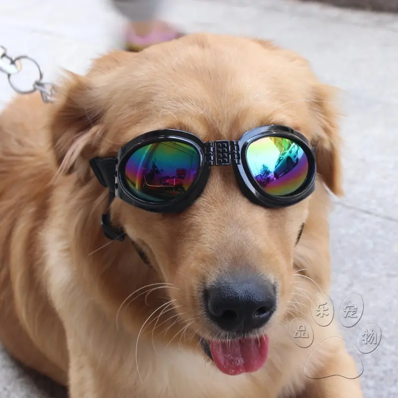 Gafas de sol para perros - protección UV
