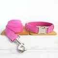 Dog Collar Leash Set