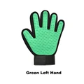 Green Left