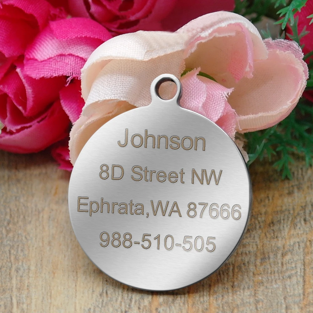 Etiqueta de identificación personalizada para perro, accesorio de acero inoxidable, antipérdida, con silbato de Entrenamiento gratis - imagen 3