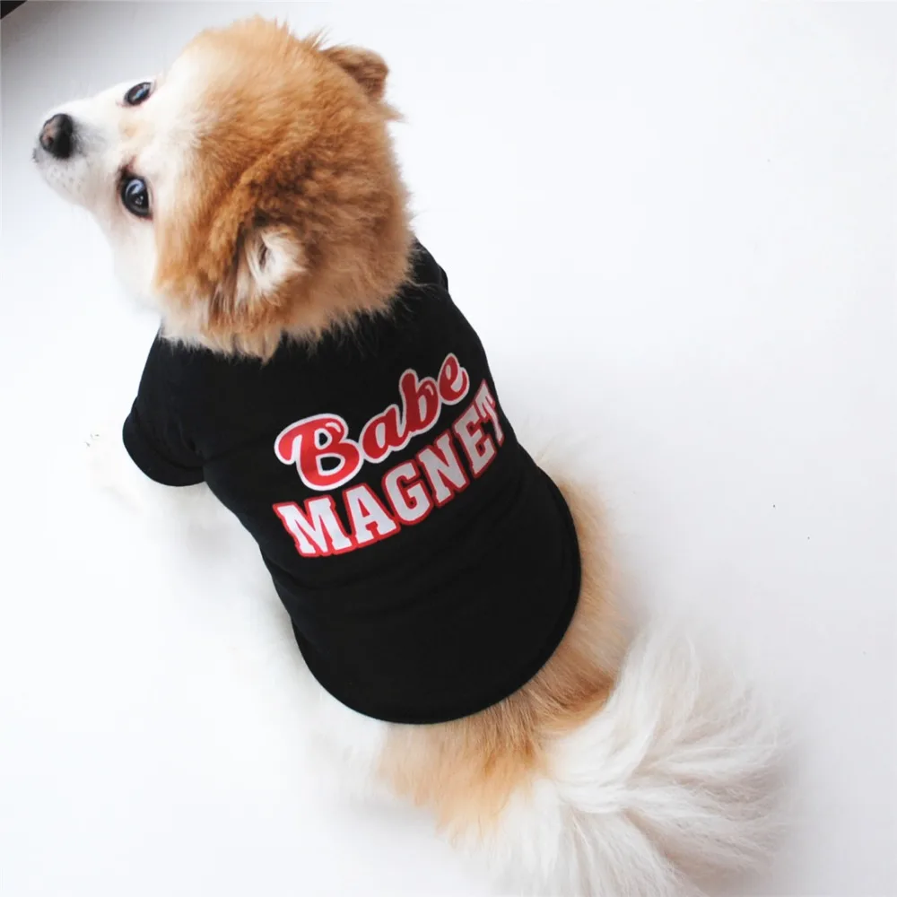 Ropa de primavera para perros pequeños, ropa para mascotas, chaqueta, disfraz de Chihuahua, productos para cachorros - imagen 2