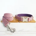 Dog Collar Leash Set