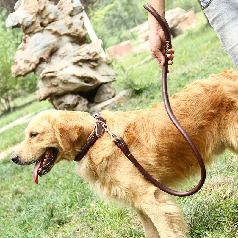 3553977559_696987398