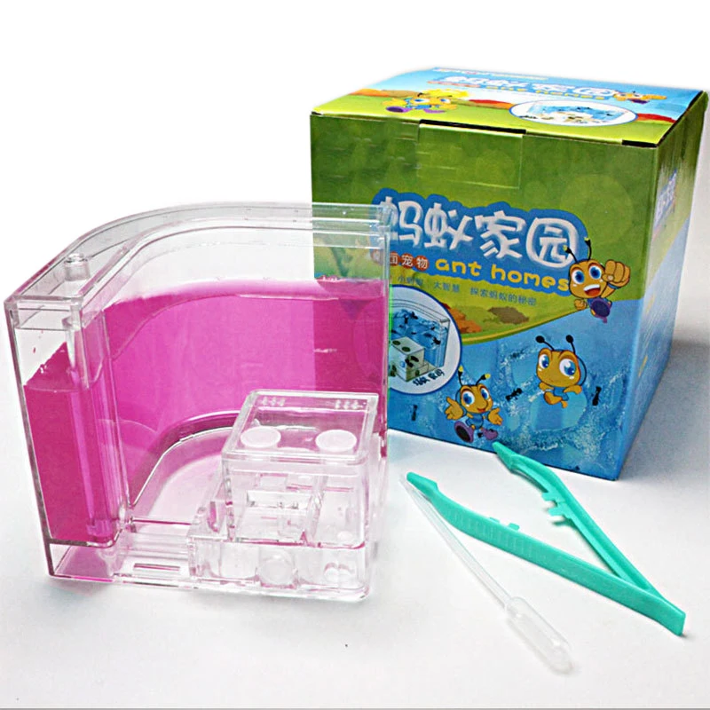 Acrylic Ants Farm Ants House Castle Colorful Insects Terrarium Ant Cage Insects Box Nursery Ecological Kid Educational Model Toy6