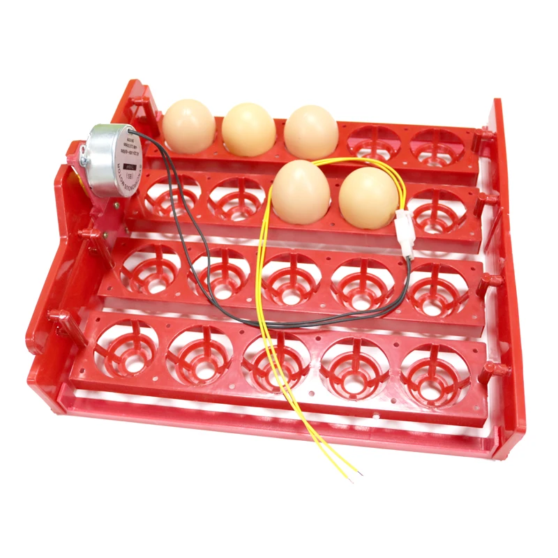 Incubadora de 20 huevos, bandeja giratoria para huevos, Motor de 220V/110V/12V, huevos de gallina, incubadora automática, accesorios, equipo, 1 Juego - imagen 3