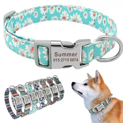 Collar identificativo con nombre grabado para perros y gatos