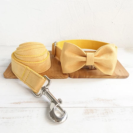 Bow Tie Collar Leash