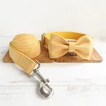 Bow Tie Collar Leash