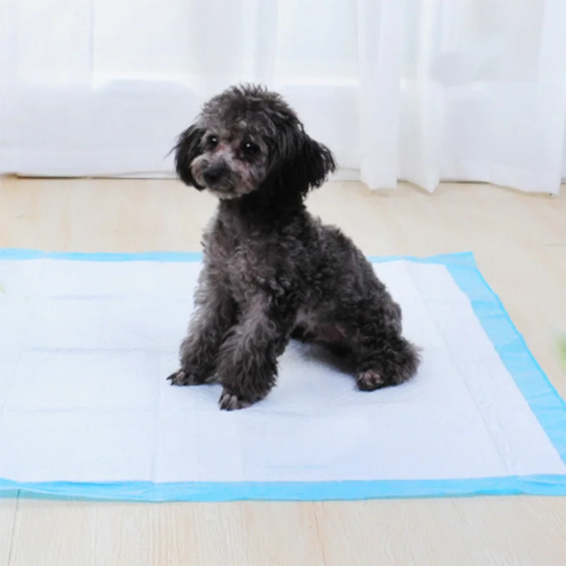 Pañal Perro Gato Absorbente - uso en gato