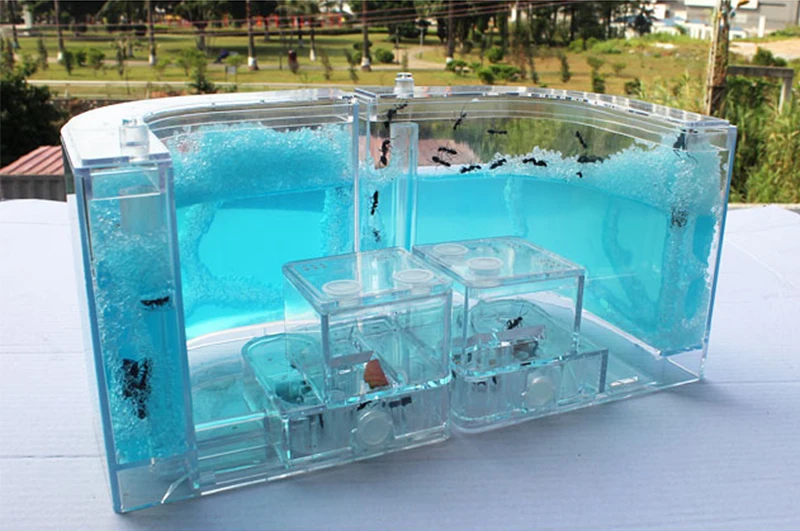 Acrylic Ants Farm Ants House Castle Colorful Insects Terrarium Ant Cage Insects Box Nursery Ecological Kid Educational Model Toy11