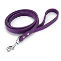 Purple Dog Leash