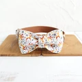 Dog Collar Bow Tie