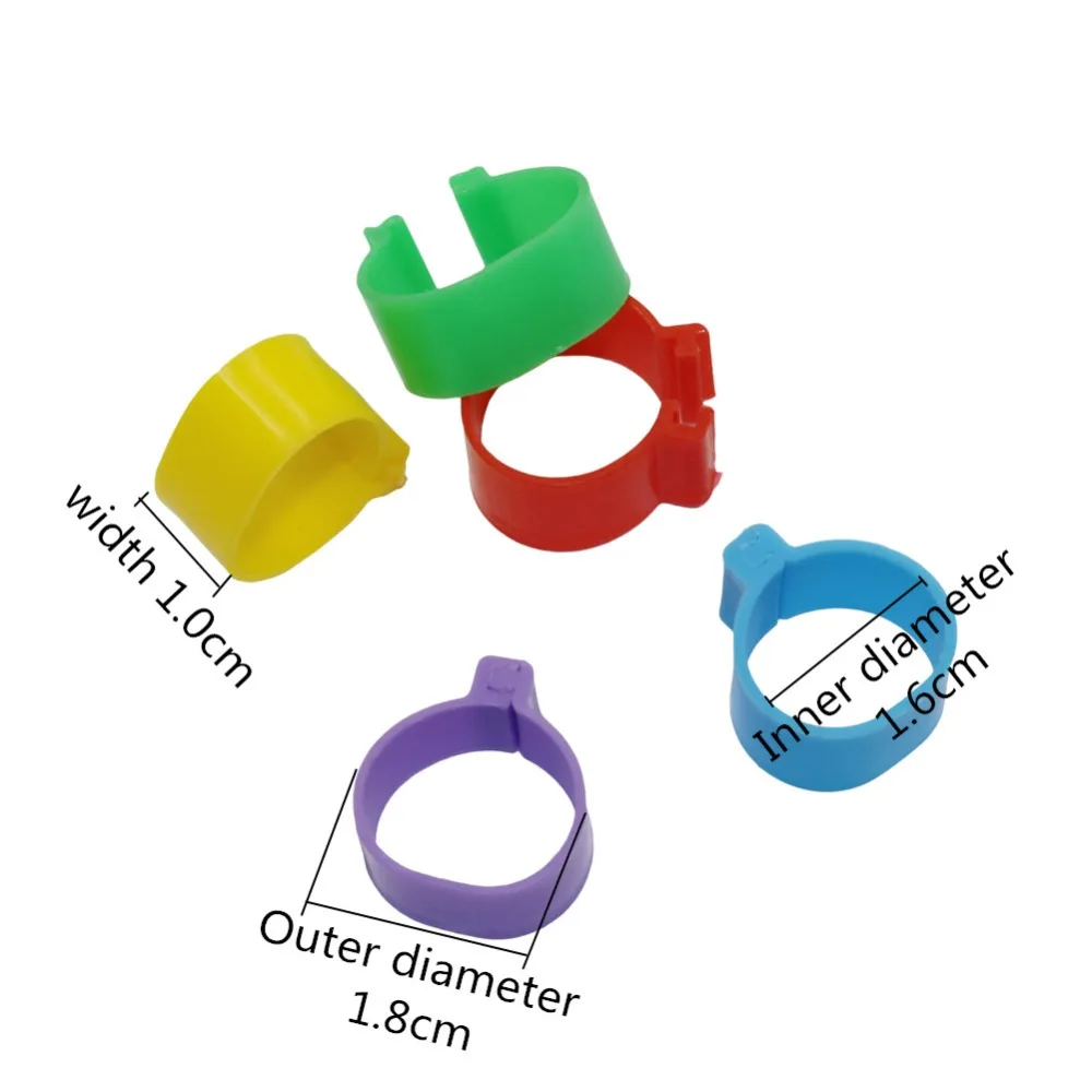 Anillo de plástico para pata de pollo, etiqueta Digital con hebilla, equipo de granja de 1000 cm, 1,6 piezas ID, 5 colores - imagen 2