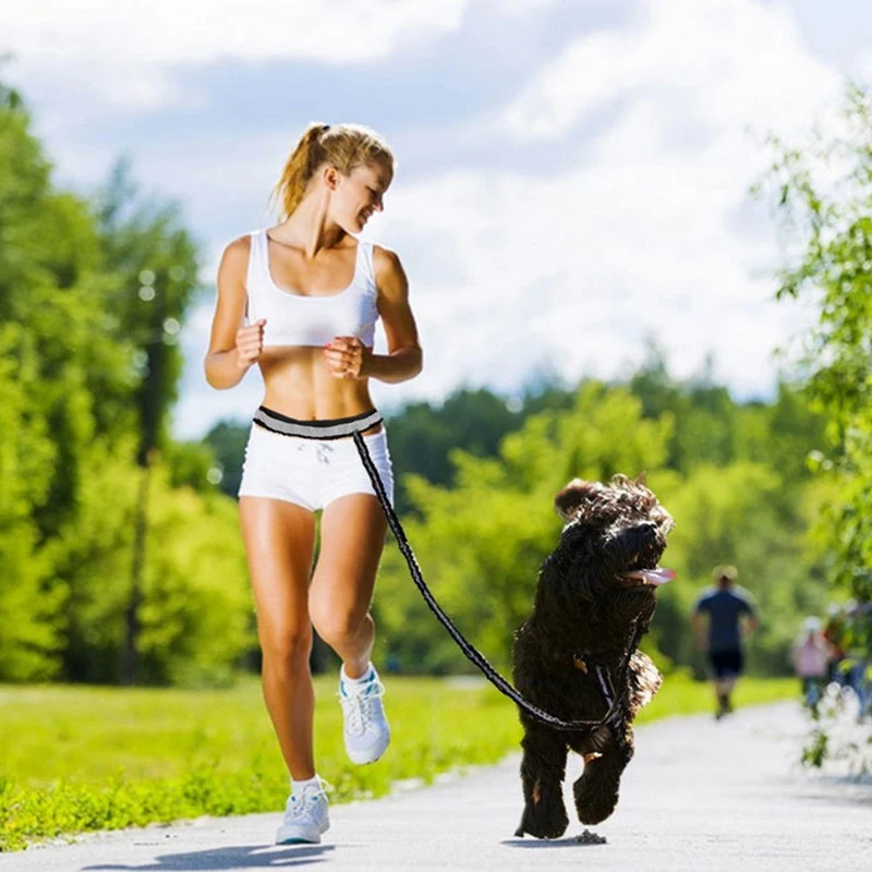 Juego de cuerdas elásticas para cinturón de tracción para perros, correa para perros, correr para mascotas con guardián, correa deportiva para mascotas con cinturón, bolsa de recompensa, Kits de bolsas de almacenamiento de desechos - imagen 2