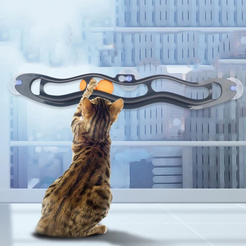 Un gato juega con un juguete frente a una ventana