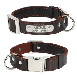 Collar identificativo con placa para perros - Personalizable
