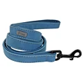 Blue Leash