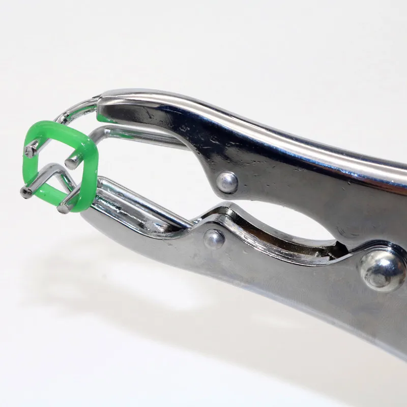 Anillo de castración de cola de Animal, accesorio de goma para ganado, 100 piezas - imagen 2