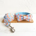 Bow Tie Collar Leash