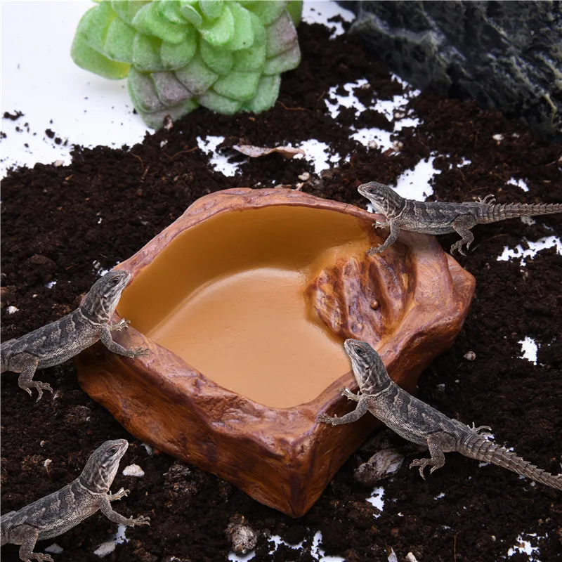 Cuenco de alimentación de anfibios, alimentador de Reptiles de resina, olla de agua, Tortuga, escorpión, lagarto, cangrejo, suministros de alimentación - imagen 2