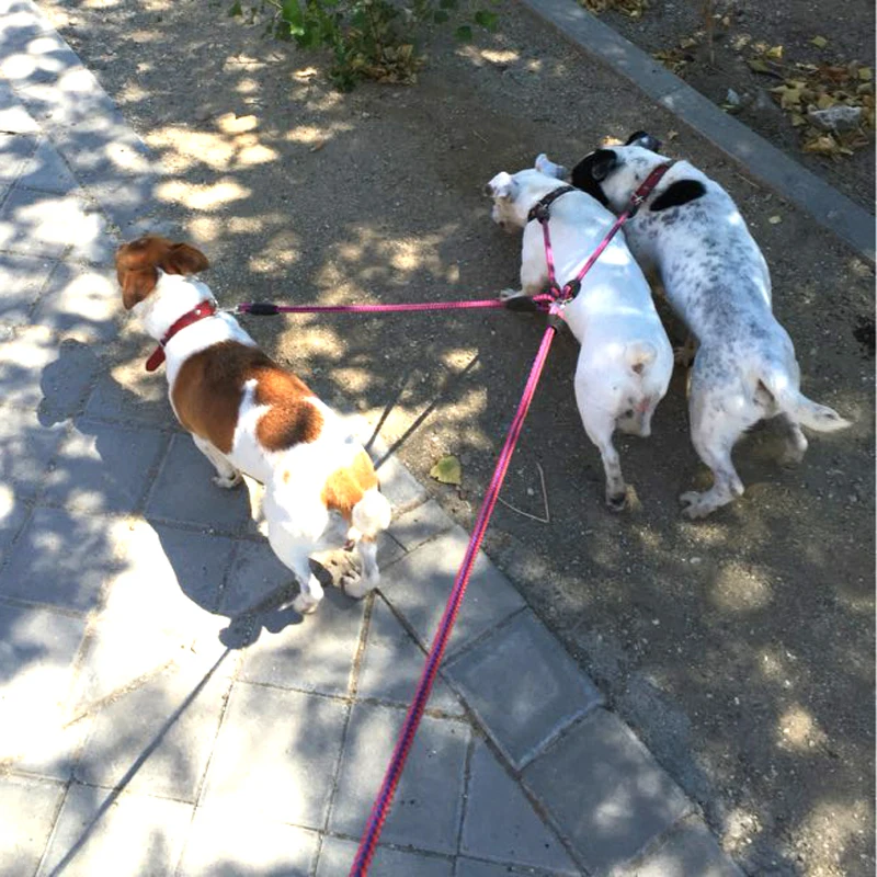 Acopladores de 3 vías para caminar para mascotas, cuerda trenzada de nailon largo de 55 ", correa para 3 perros, arnés para perros pequeños - imagen 5