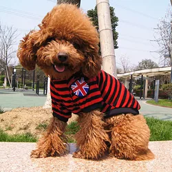 Chaleco de verano para perros pequeños – Ligero y fresquito