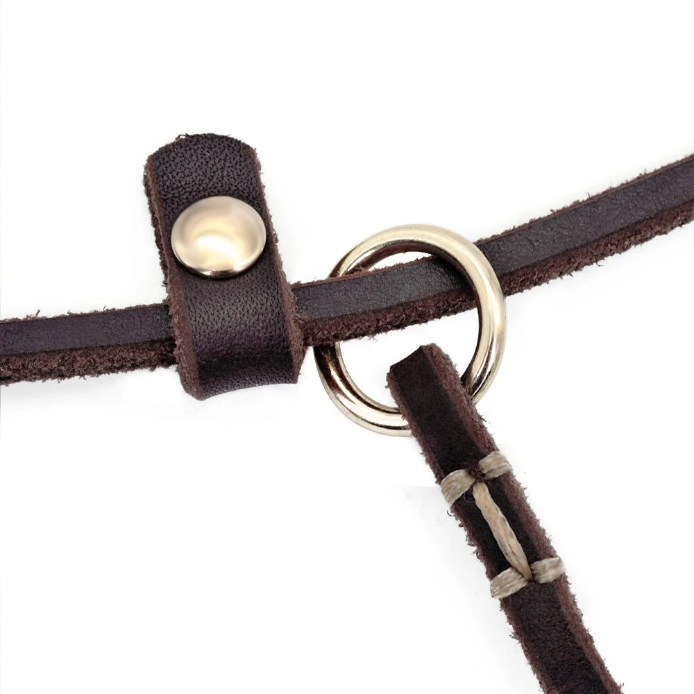 Correa de cuero para perro de 4 pies/5 pies, Collar P Chian, cuerda de tracción para Chihuahua Bulldog, correas para perros pequeños, collares antideslizantes, suministros para mascotas - imagen 4
