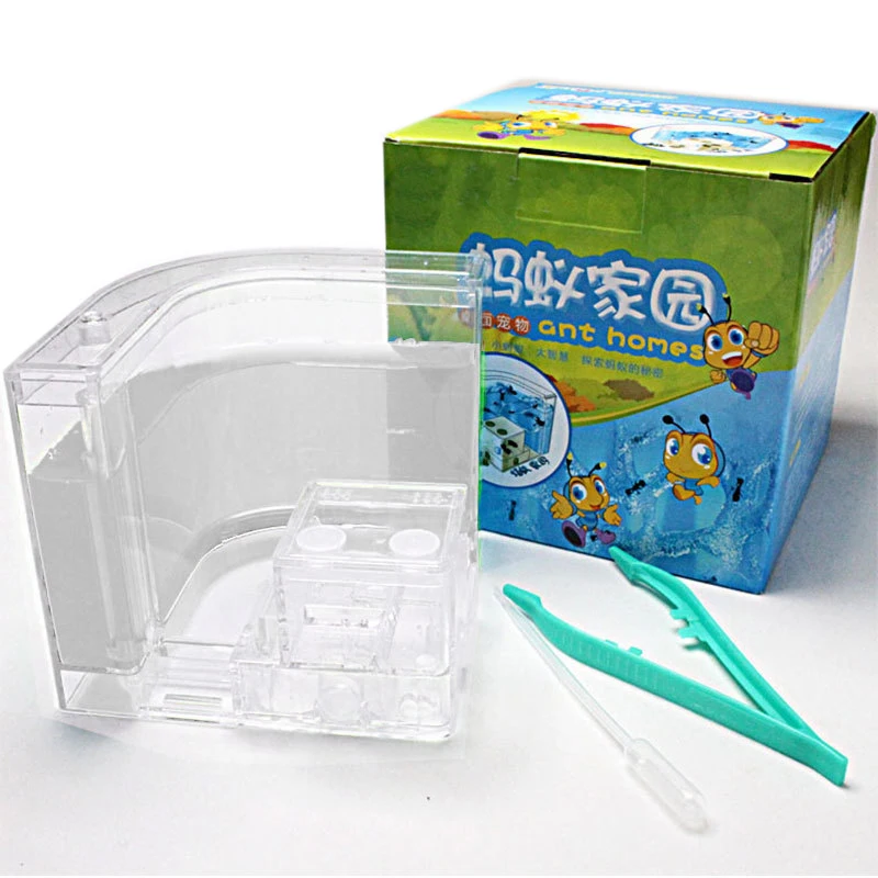 Acrylic Ants Farm Ants House Castle Colorful Insects Terrarium Ant Cage Insects Box Nursery Ecological Kid Educational Model Toy5