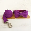 Bow Tie Collar Leash