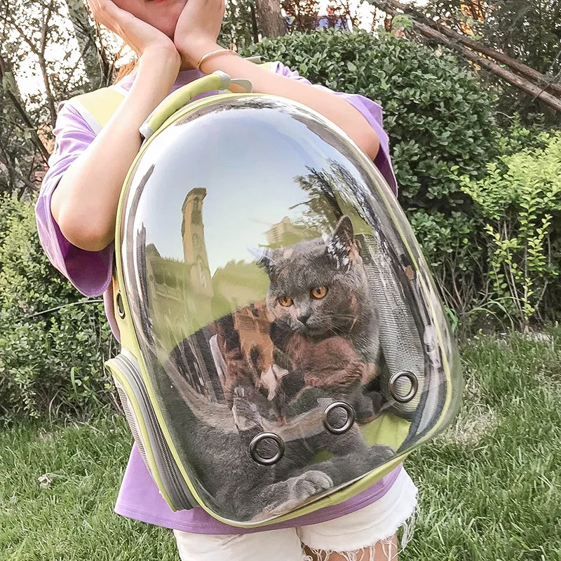 Habitación espaciosa - Confort para mascota