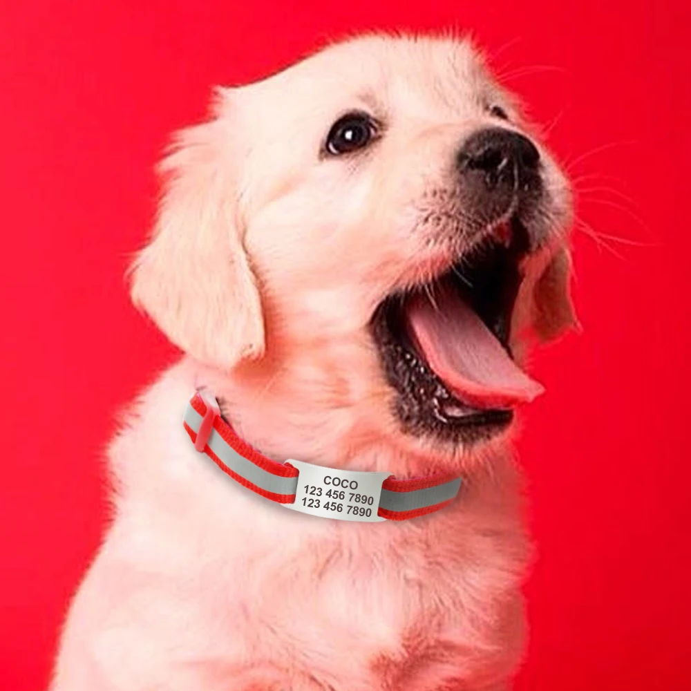 Placa de identificación personalizada de acero inoxidable para Collar de perro, placa de nombre deslizante, colgante, accesorios para perros Pug - imagen 5