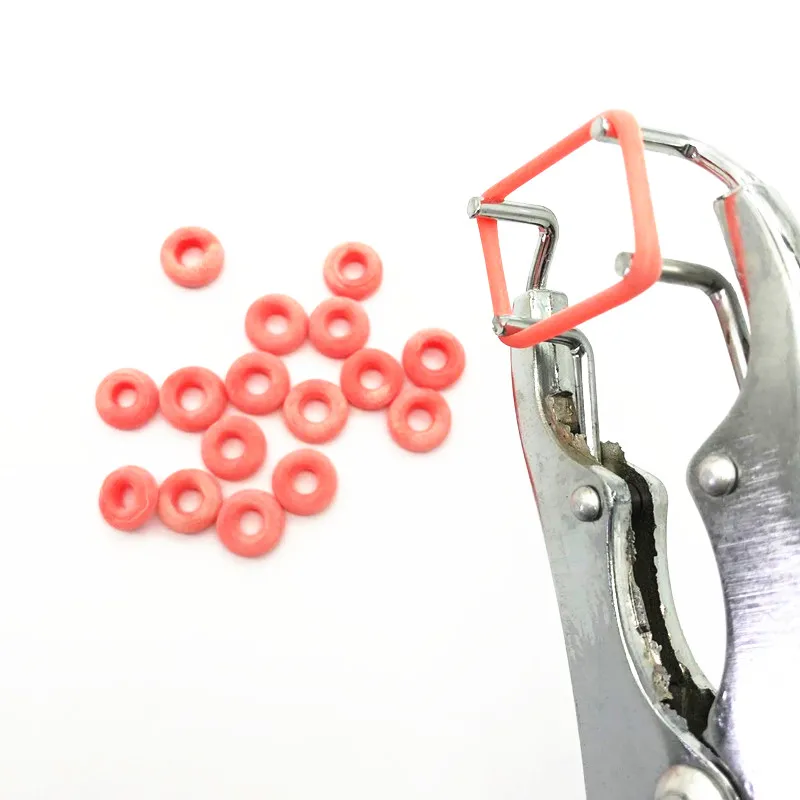 Anillo de castración de cola de Animal, accesorio de goma para ganado, 100 piezas - imagen 4