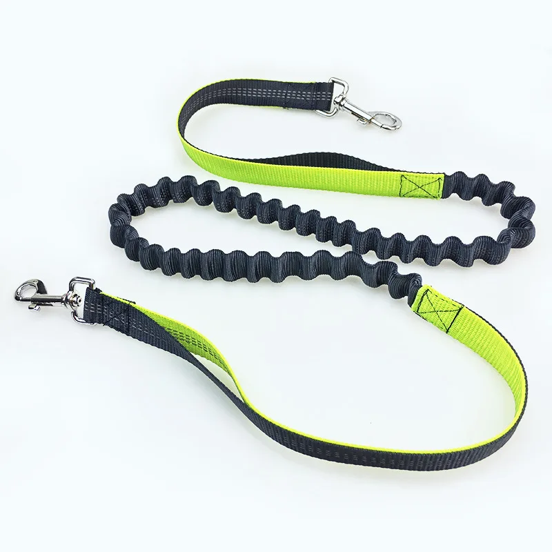 Correa elástica para caminar para perros pequeños, Collar de cuerda de alta calidad de 190x2,5 cm para cachorros, trotar y hacer deporte, ZL284-1 - imagen 3