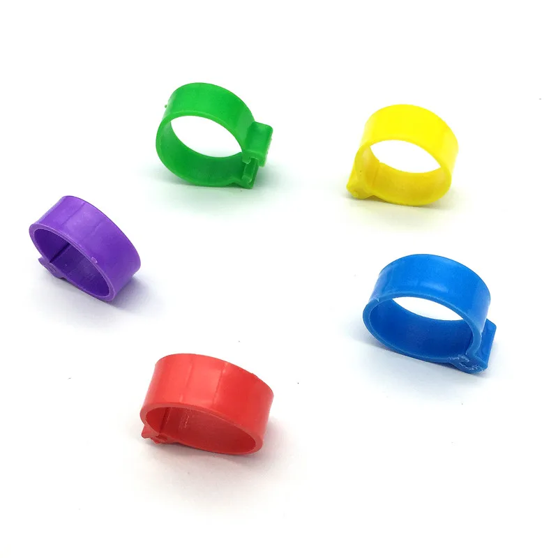 Anillo de pie de pollo ID2.0cm, identificación de aves de corral, pato, pavo, equipo de alimentación de aves, herramienta de gestión Animal, 1000 piezas - imagen 2