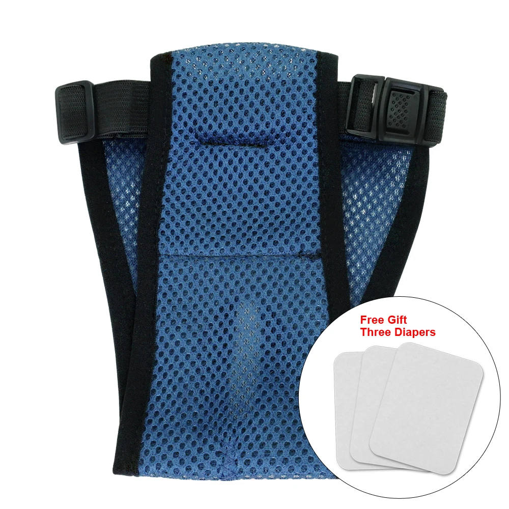 Pañales fisiológicos para perros, bragas sanitarias, pantalones cortos, accesorios para mascotas - imagen 2