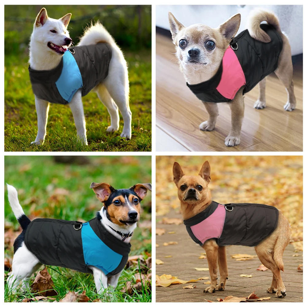 Ropa para perros grandes Chaleco impermeable para perros Chaqueta Invierno Nylon Ropa para perros Chihuahua Labrador Azul Rosa - imagen 2