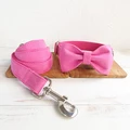 Bow Tie Collar Leash