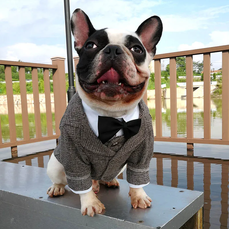 WANGUPET-traje de saco de lana para perros pequeños y gatos, abrigo y chaleco para mascotas, traje de fiesta de boda - imagen 3