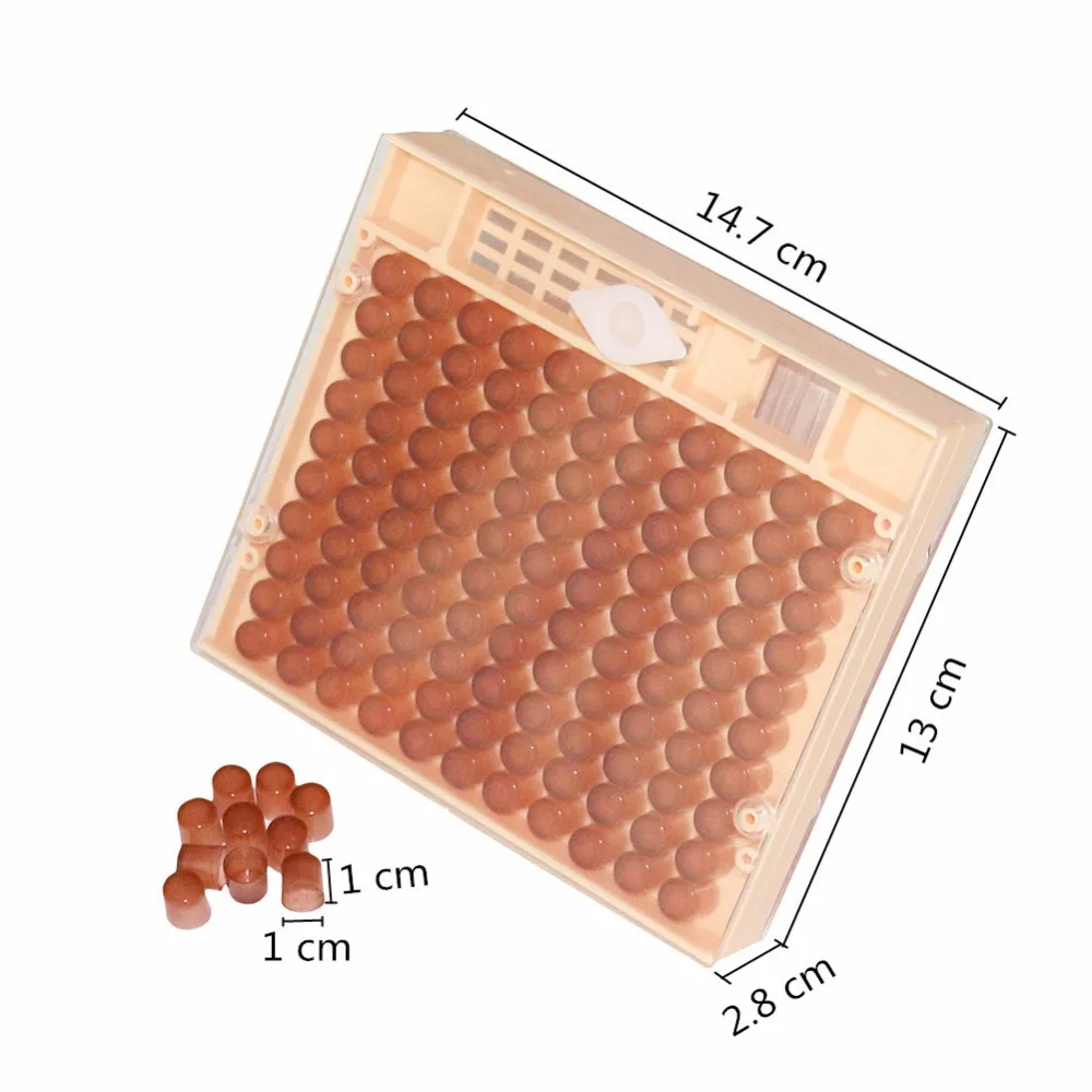Equipo de apicultura, herramientas para cría de abejas reinas, huevos, jaula de caja de plástico para apicultor profesional, suministros de apicultura - imagen 2