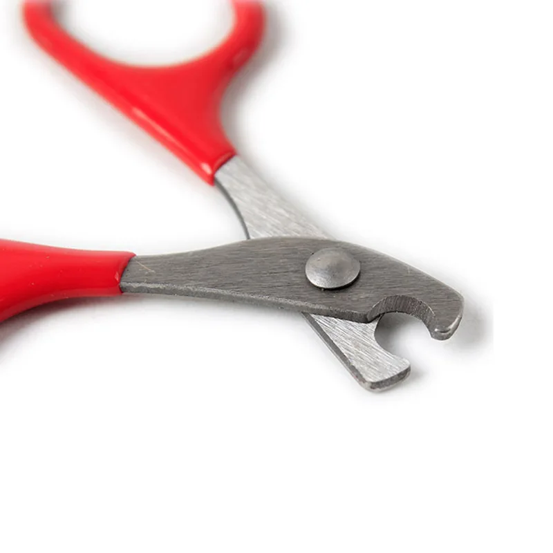 Herramientas para el cuidado de las garras de Gato, tijeras para uñas, suministros para mascotas, accesorios, Herramientas de limpieza para gatos, tijeras para uñas, productos para mascotas - imagen 5